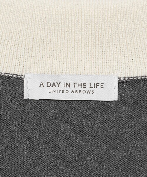 A DAY IN THE LIFE UNITED ARROWS（アデイインザライフユナイテッドアローズ）の「レイヤードカラー スキッパーニット ‐ウォッシャブル‐ ＜A DAY IN THE LIFE＞（ニット/セーター・レディース・ネイビー/ベージュ/ダークグレー・FREE）」の19枚目の写真