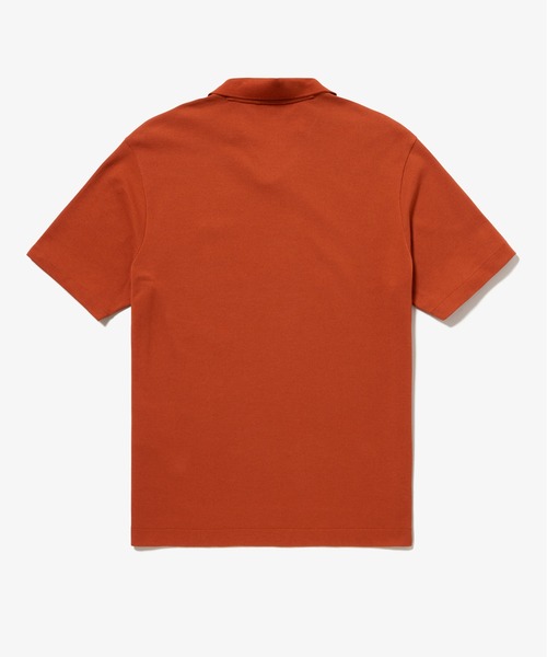 LACOSTE（ラコステ）の「L.12.12鹿の子 アレンジ スキッパーネックポロシャツ（ポロシャツ・メンズ・レッド系その他/ブラック/オフホワイト/チャコールグレー/ダークアッシュ/ブラウン系その他・2/3/4/5）」の16枚目の写真