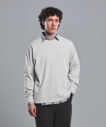 Champion｜チャンピオンのスウェット（グレー/灰色系・長袖）通販