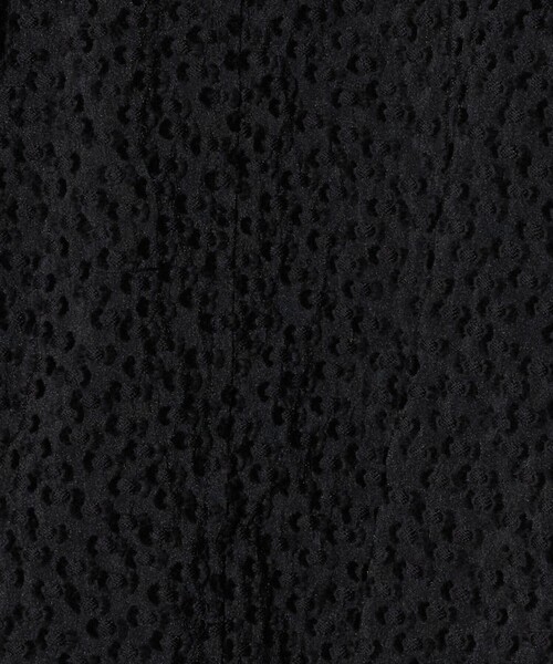 Steven Alan(スティーブンアラン)の「<Steven Alan>ジャガード ブルゾン(その他アウター・レディース・ナチュラル/ブラック・M/S)」の9枚目の写真