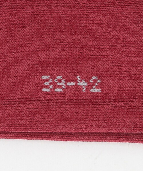 FALKE（ファルケ）の「＜FALKE＞FAMILY SOCKS/ソックス（ソックス/靴下・メンズ・ロイヤルブルー/ライム/ライトブルー/オリーブ/レッド/ネイビー/ダークブラウン/ライトグレー・39/42）」の11枚目の写真