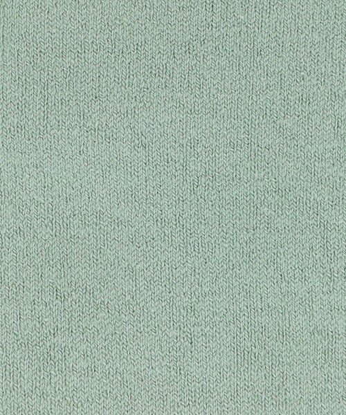 FALKE（ファルケ）の「＜FALKE＞FAMILY SOCKS/ソックス（ソックス/靴下・メンズ・ロイヤルブルー/ライム/ライトブルー/オリーブ/レッド/ネイビー/ダークブラウン/ライトグレー・39/42）」の19枚目の写真