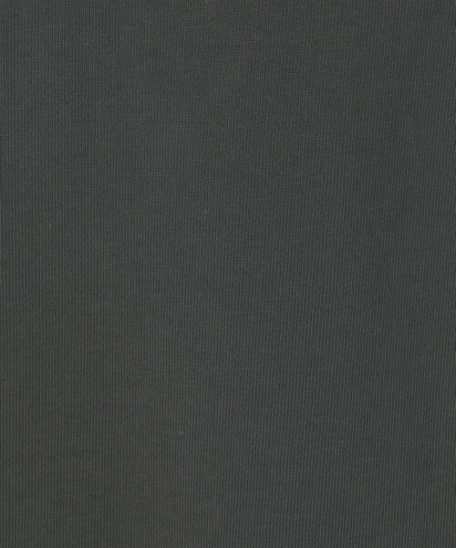 SHIPS Days（シップスデイズ）の「SHIPS Days:〈洗濯機可能〉裏起毛タイトスカート（スカート・レディース・ブルー/ライトグレー/ダークグレー・ONE SIZE）」の5枚目の写真