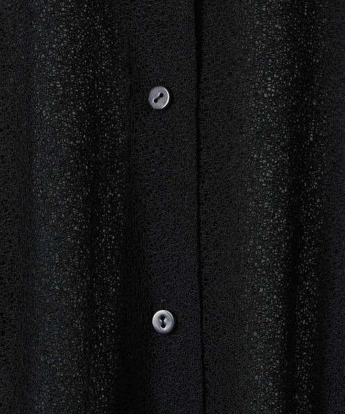 JEANASIS（ジーナシス）の「シアーキリカエメッシュシアーシャツ/109375（シャツ/ブラウス・レディース・ブルー系その他/ホワイト/ブラウン/ブラック・FREE）」の12枚目の写真