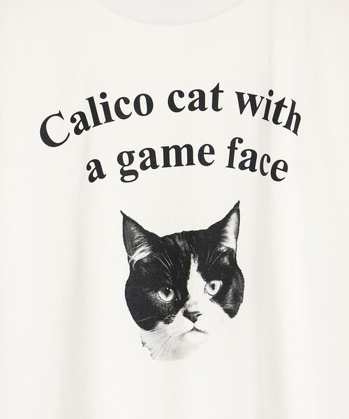 le.coeur blanc(ルクールブラン)の「Regency WorksネコプリントT(Tシャツ/カットソー・レディース・ブラウン/オフホワイト・38)」の17枚目の写真