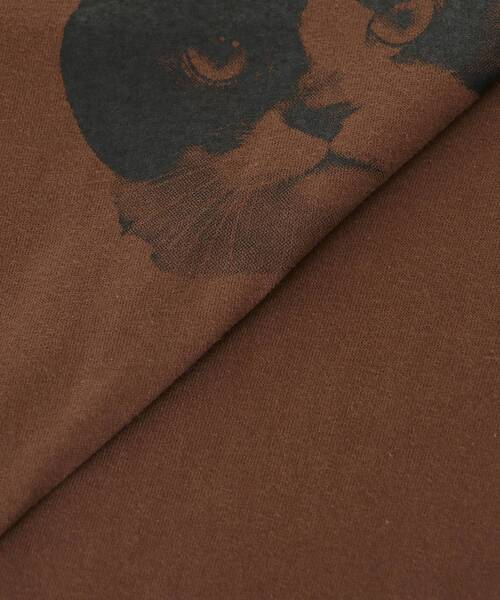 le.coeur blanc(ルクールブラン)の「Regency WorksネコプリントT(Tシャツ/カットソー・レディース・ブラウン/オフホワイト・38)」の18枚目の写真