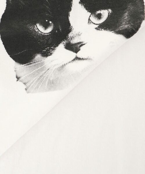 le.coeur blanc(ルクールブラン)の「Regency WorksネコプリントT(Tシャツ/カットソー・レディース・ブラウン/オフホワイト・38)」の19枚目の写真