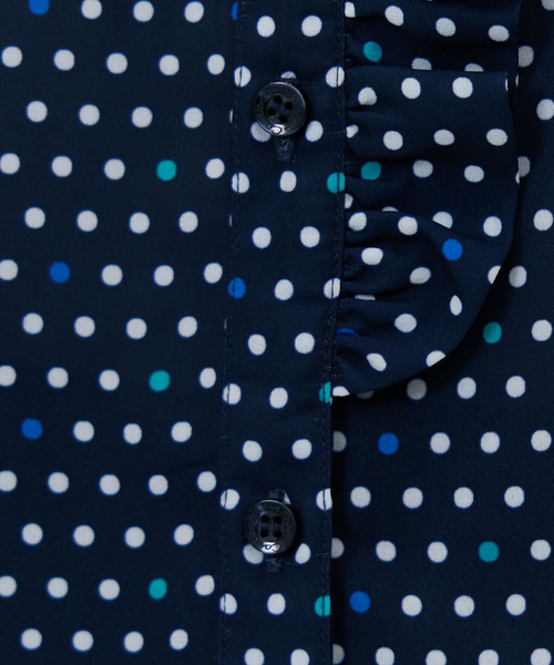 NARACAMICIE(ナラカミーチェ)の「【NARACAMICIE】ドット柄フリル衿長袖ブラウス(シャツ/ブラウス・レディース・ブルー/ピンク・L/M/S)」の19枚目の写真