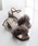menue�i���k�G�j�́u�b���� �X�N�G�A�g�D �`���[���t���� �X�g���b�v�T���_���i�T���_���j�v�b�A�b�V���O���[