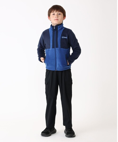コロンビア産 | キプリスモルフォ フリース -モルフォ 蝶標本の中古品