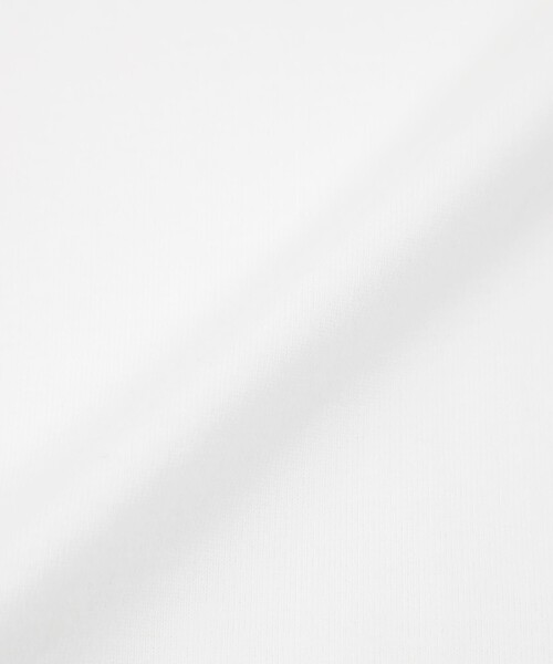 MACKINTOSH PHILOSOPHY（ﾏｯｷﾝﾄｯｼｭ ﾌｨﾛｿﾌｨｰ）の「ライティングロゴ刺しゅうTシャツ（Tシャツ/カットソー・レディース・オフホワイト/ライトブルー/ベージュ・38）」の11枚目の写真