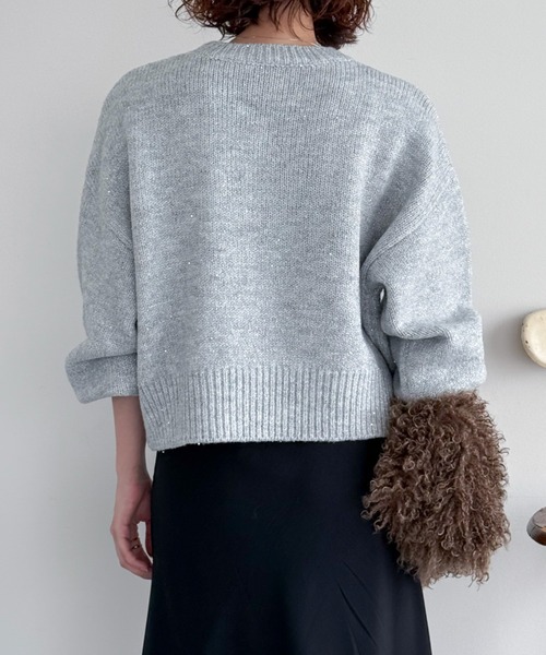 Doux archives(ドゥアルシーヴ)の「【大好評につき再入荷決定!】【新色追加】スパンコールショートニットプルオーバー(ニット/セーター・レディース・ミント/シルバーグレー/ピンク/チャコールグレー/アイボリー・FREE)」の14枚目の写真