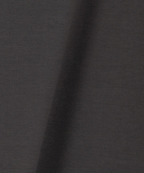 Gabardine K.T（ギャバジンケーティー）の「ポンチ キレイめTシャツ（Tシャツ/カットソー・レディース・ライトグレー/チャコール・7号）」の9枚目の写真