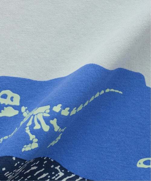 kladskap(クレードスコープ)の「蓄光プリント地層と化石半袖Tシャツ【接触冷感・速乾】(Tシャツ/カットソー・キッズ・ライトグレー/オフホワイト・130cm/120cm/100cm/90cm/110cm)」の15枚目の写真