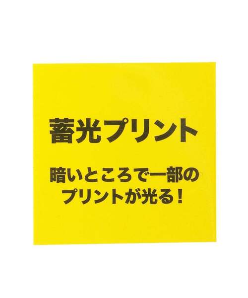 kladskap(クレードスコープ)の「蓄光プリント地層と化石半袖Tシャツ【接触冷感・速乾】(Tシャツ/カットソー・キッズ・ライトグレー/オフホワイト・130cm/120cm/100cm/90cm/110cm)」の4枚目の写真