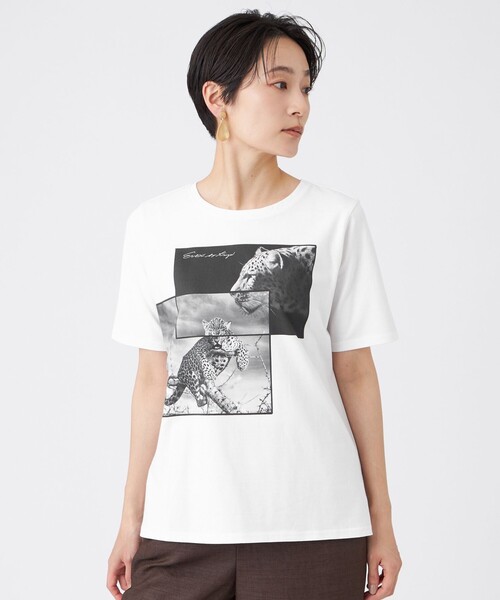 EVEX by KRIZIA(エヴェックスバイクリツィア)の「【接触冷感・ウォッシャブル】フォトプリントカットソー(Tシャツ/カットソー・レディース・チャコールグレー/オレンジ/オフホワイト・42/40)」の1枚目の写真