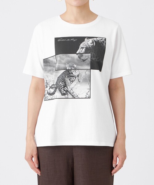 EVEX by KRIZIA(エヴェックスバイクリツィア)の「【接触冷感・ウォッシャブル】フォトプリントカットソー(Tシャツ/カットソー・レディース・チャコールグレー/オレンジ/オフホワイト・42/40)」の9枚目の写真