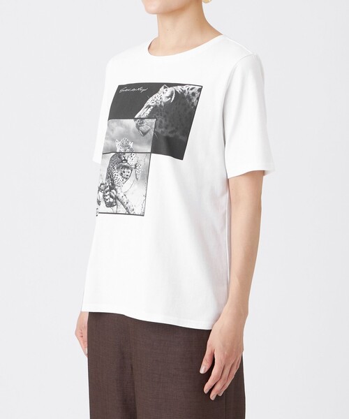 EVEX by KRIZIA(エヴェックスバイクリツィア)の「【接触冷感・ウォッシャブル】フォトプリントカットソー(Tシャツ/カットソー・レディース・チャコールグレー/オレンジ/オフホワイト・42/40)」の10枚目の写真