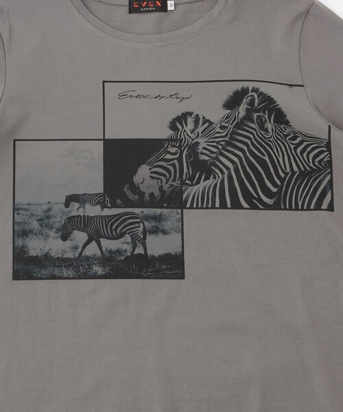 EVEX by KRIZIA(エヴェックスバイクリツィア)の「【接触冷感・ウォッシャブル】フォトプリントカットソー(Tシャツ/カットソー・レディース・チャコールグレー/オレンジ/オフホワイト・42/40)」の14枚目の写真