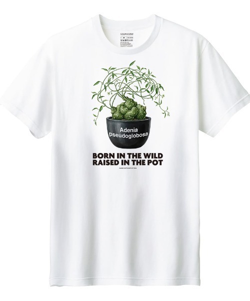 Moftique(モフティック)の「Moftique(モフティック) 半袖Tシャツ アデニア・プセウド・グロボーサ コーデックス 塊根植物 多肉植物 プリント Tシャツ 半袖 トップス カットソー メンズ レディース ユニセックス 夏(Tシャツ/カットソー・メンズ・ホワイト/ブラック・S/M/L/XL/XS)」の2枚目の写真