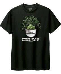 Moftique | Moftique(モフティック) 半袖Tシャツ アデニア・プセウド・グロボーサ コーデックス 塊根植物 多肉植物 プリント Tシャツ 半袖 トップス カットソー メンズ レディース ユニセックス 夏(Tシャツ/カットソー)