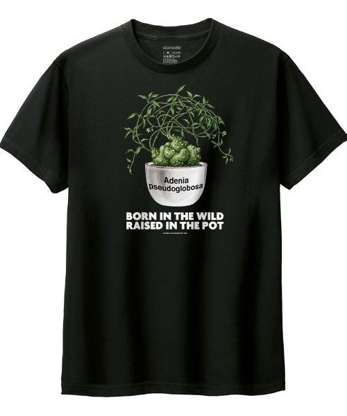 Moftique(モフティック)の「Moftique(モフティック) 半袖Tシャツ アデニア・プセウド・グロボーサ コーデックス 塊根植物 多肉植物 プリント Tシャツ 半袖 トップス カットソー メンズ レディース ユニセックス 夏(Tシャツ/カットソー・メンズ・ホワイト/ブラック・S/M/L/XL/XS)」の1枚目の写真