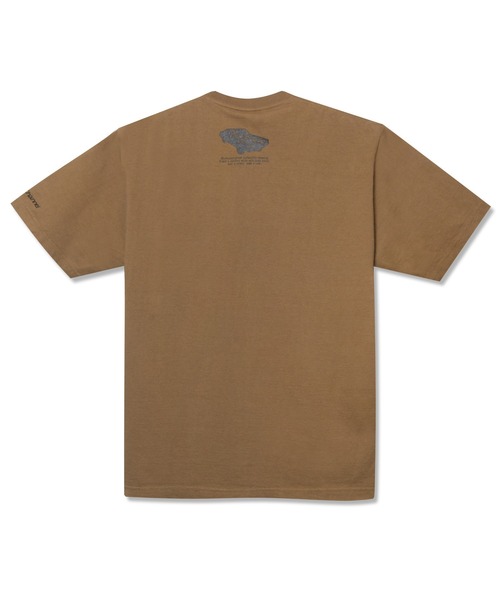 Back Channel（バックチャンネル）の「STEALO T（Tシャツ/カットソー・メンズ・ホワイト/ブラック/ベージュ系その他・SMALL/MEDIUM/LARGE/X-LARGE/XX-LARGE）」の13枚目の写真