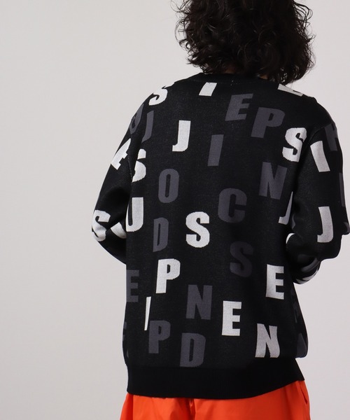 【セール】Jacquard crew-neck knit sweater / ジャガード クルーネックニットセーター unisex（ニット/セーター）｜EVOLUTION（エボリューション）