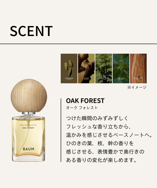 【未使用】BAUM オードトワレ オーク フォレスト（シーズン限定） BAUM オードトワレ （オーク フォレスト）【数量限定】（香水