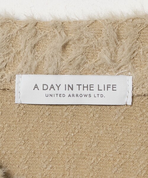 A DAY IN THE LIFE UNITED ARROWS(アデイインザライフユナイテッドアローズ)の「シアーシャギー カーディガン <A DAY IN THE LIFE>(カーディガン/ボレロ・レディース・ベージュ/オフホワイト/ブラック・FREE)」の14枚目の写真