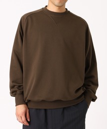 FIGURE（フィギュア）の「DAIWA PIER39 TECH SWEAT CREW FREEDOM SLEEVE BE-50026（Tシャツ/カットソー）」