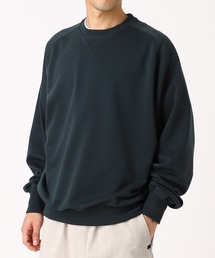 FIGURE（フィギュア）の「DAIWA PIER39 TECH SWEAT CREW FREEDOM SLEEVE BE-50026（Tシャツ/カットソー）」