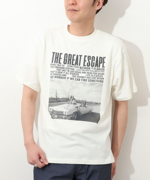 セール】甘編み天竺 PHOTO T（Tシャツ/カットソー）｜NOLLEY'S LIGHT