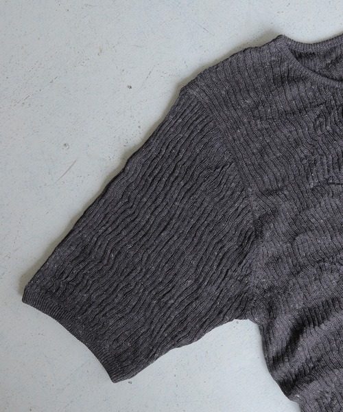 CLEIO(クレイオ)の「【CLEIO】リンクルシアー ボタンカーディガン WRINKLE SHEER BUTTON(Tシャツ/カットソー・レディース・チャコールグレー/ライトグリーン/アイボリー/レッド/ベージュ・FREE)」の15枚目の写真