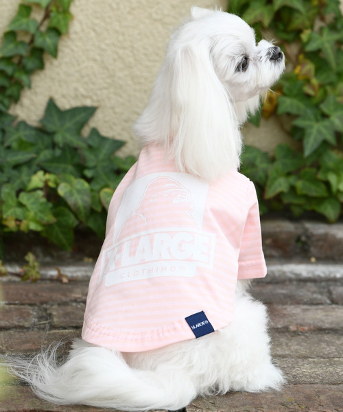 XLARGE（エクストララージ）の「XLARGE/エクストララージ/ボーダー