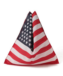 HAV-A-HANK / バンダナ エコバッグ