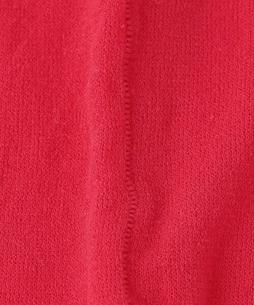 BEAUTY&YOUTH UNITED ARROWS(ビューティーアンドユースユナイテッドアローズ)の「15デニール カラータイツ(タイツ/ストッキング・レディース・ブラック/レッド・FREE)」の5枚目の写真