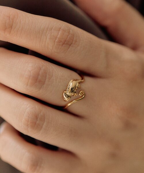 セール】《WEB限定》7号/カメレオンリング（リング）｜ear PAPILLONNER