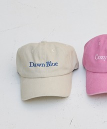 LAKOLE | WASHEDビッグロゴキャップ / 607904(キャップ)