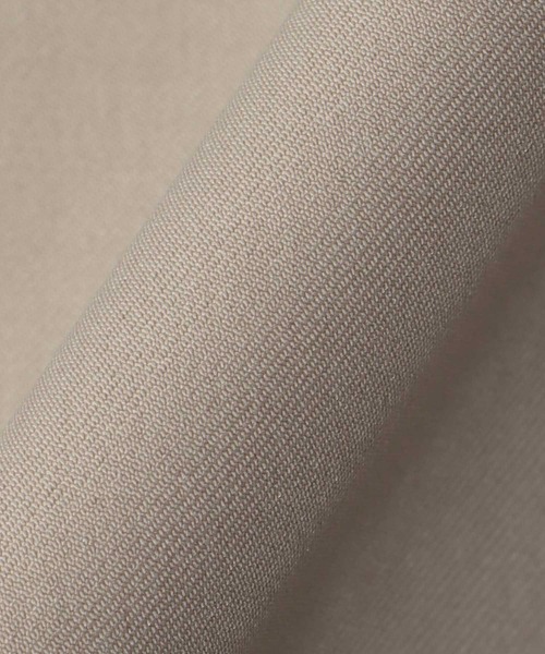 DRESSLAVE(ドレスレイブ)の「B7 / dry gaba slacks pants(ドライギャバスラックスパンツ)(スラックス・レディース・グレー/ベージュ・36/38)」の19枚目の写真