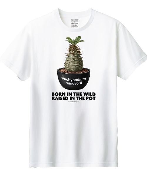 Moftique(モフティック)の「Moftique(モフティック) 半袖Tシャツ パキポディウム ウィンゾリー コーデックス 塊根植物 多肉植物 プリント Tシャツ 半袖 トップス カットソー メンズ レディース ユニセックス 夏(Tシャツ/カットソー・メンズ・ホワイト/ブラック・S/M/L/XL/XS)」の1枚目の写真