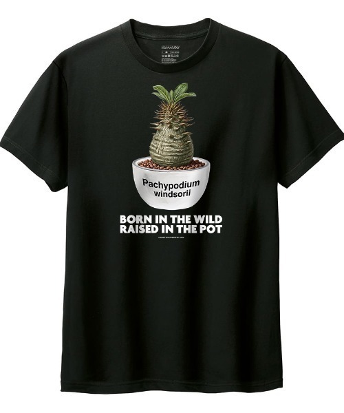 Moftique(モフティック)の「Moftique(モフティック) 半袖Tシャツ パキポディウム ウィンゾリー コーデックス 塊根植物 多肉植物 プリント Tシャツ 半袖 トップス カットソー メンズ レディース ユニセックス 夏(Tシャツ/カットソー・メンズ・ホワイト/ブラック・S/M/L/XL/XS)」の2枚目の写真