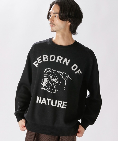 niko and...（ニコアンド）の「DOGFACEジャカ－ドプルオーバー（ニット/セーター・メンズ・ブラック/アイボリー/バイオレット・MEDIUM/LARGE）」の14枚目の写真