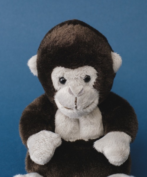 BIRTHDAY BAR（バースデイバー）の「Potte ゴリラ ぬいぐるみ（フィギュア・レディース・レインボー・フリー）」の3枚目の写真