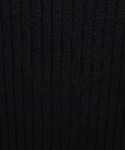 NOLLEY’S(ノーリーズ)の「シアー衿付きリブニット(ニット/セーター・レディース・ベージュ/ブラック/ネイビー・38)」の9枚目の写真