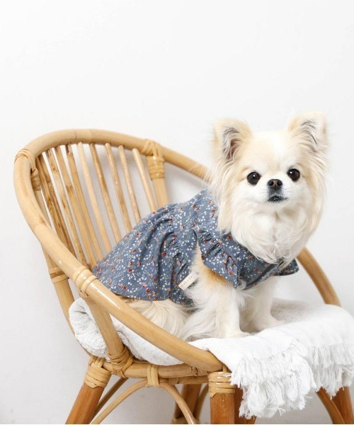 犬服 SS わんこの普段着　フラワーアンジェ オンライン 通販その他 - 犬服 SS わんこの普段着 フラワーアンジェ