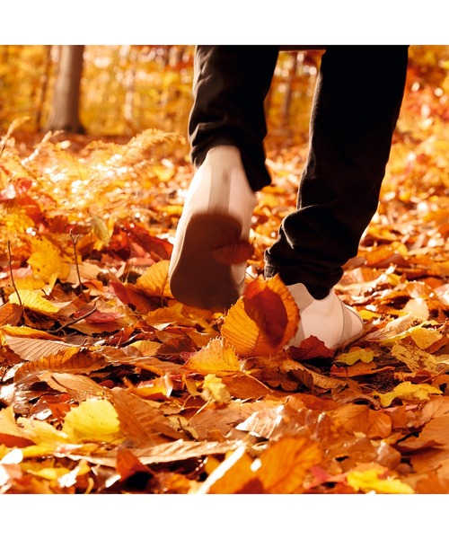 レプリカ キャンドル オータム バイブス (165g)（キャンドル）｜Maison