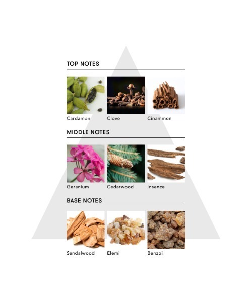 【残量8割】ORIGINS SENSUOUS SKIN SCENT50ml レア Origins Ginger Essence Sensuous Skin Scent Körperspray