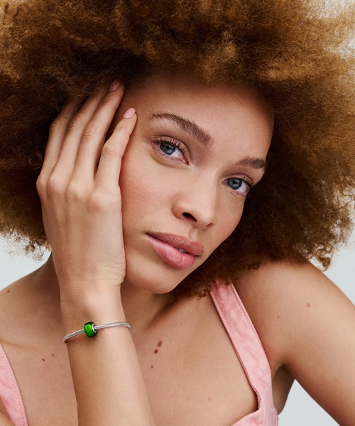 PANDORAパンドラチャーム6個セット！美品です！ watchlist_wl-pandora06