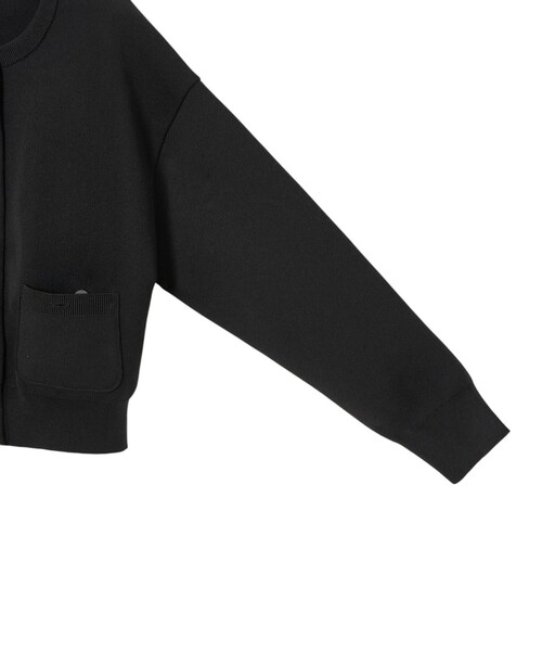 セール】サマースムースブルゾン（ブルゾン）｜ANAYI（アナイ）の